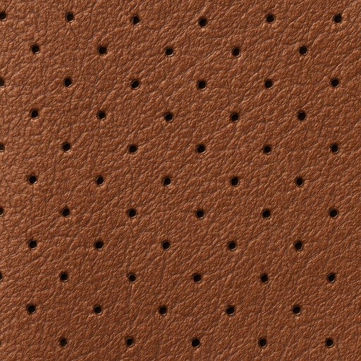Full-Grain Leather — Perforated — Fabrics, Leather & Upholstery material sample