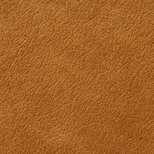 Aniline Leather — Matte material sample