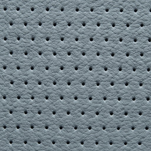 Vegetable-Tanned Leather — Perforated — Fabrics, Leather & Upholstery material sample
