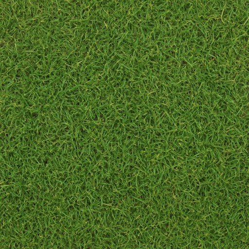 Natural Bermuda Grass — Natural — Landscape & Exterior Works material sample