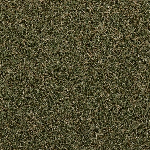Natural Zoysia Grass — Tumbled — Landscape & Exterior Works material sample
