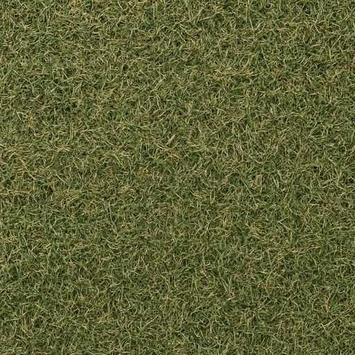 Natural Korean Grass — Flamed — Landscape & Exterior Works material sample