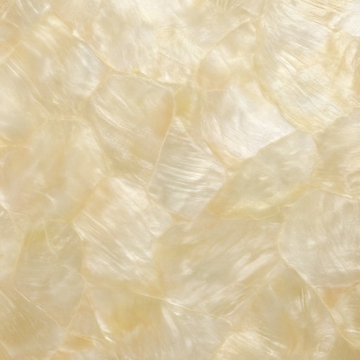 Mother-of-Pearl Inlay — Natural — Specialty, Sustainable & Smart material sample