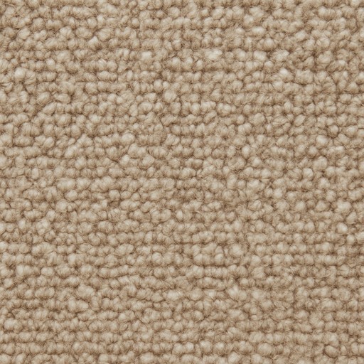Wilton Carpet — Polished — Flooring & Paving material sample
