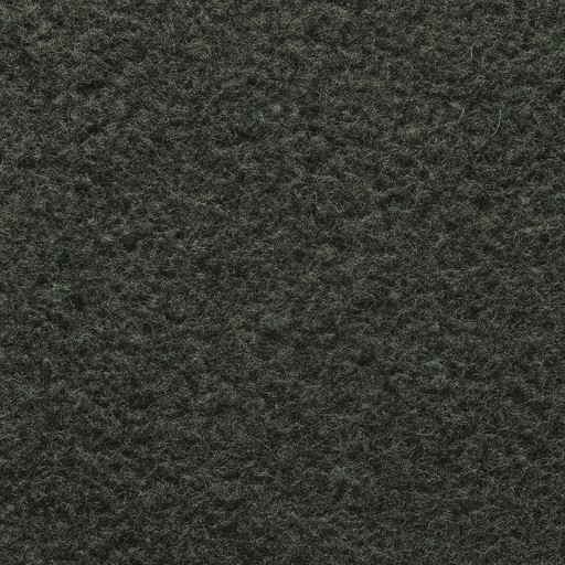 Needle-Punch Carpet — Trowelled — Flooring & Paving material sample