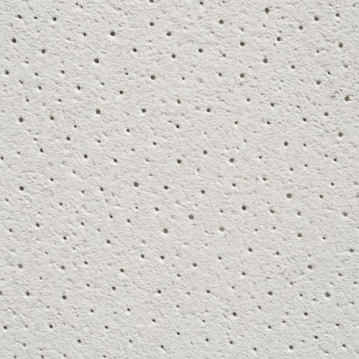 POP Moulded Ceiling — Perforated — Ceilings & Acoustic material sample
