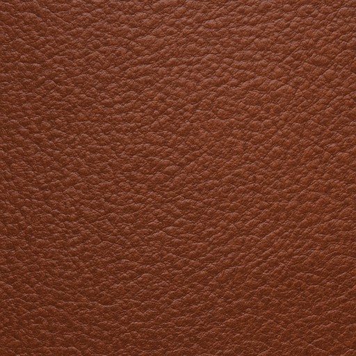 Corrected-Grain Leather — Natural Grain material sample