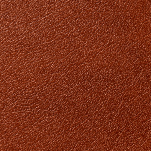 Aniline Leather — Embossed — Fabrics, Leather & Upholstery material sample
