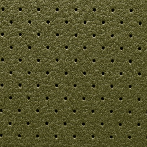 Semi-Aniline Leather — Perforated — Fabrics, Leather & Upholstery material sample