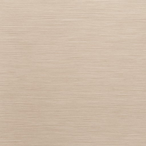 Sliding Door Track — Brushed — Doors, Windows & Hardware material sample