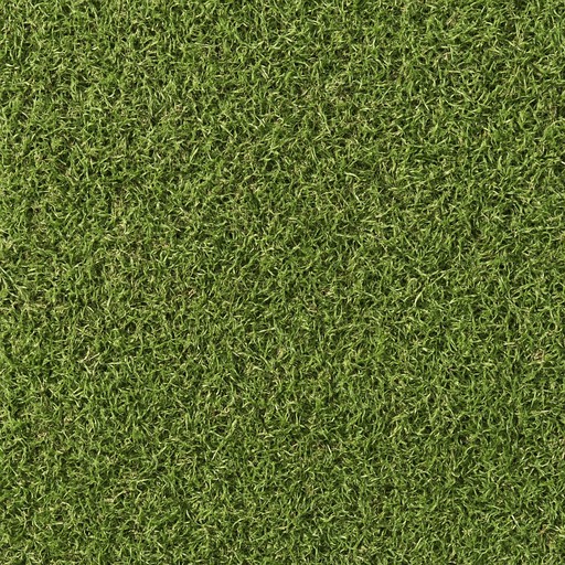 Natural Zoysia Grass — Flamed material sample