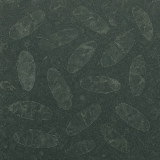 Bone Inlay Panel — Matte — Specialty, Sustainable & Smart material sample
