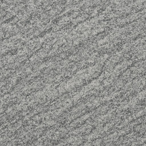 Sadarahalli Grey — Flamed — Natural Stone material sample